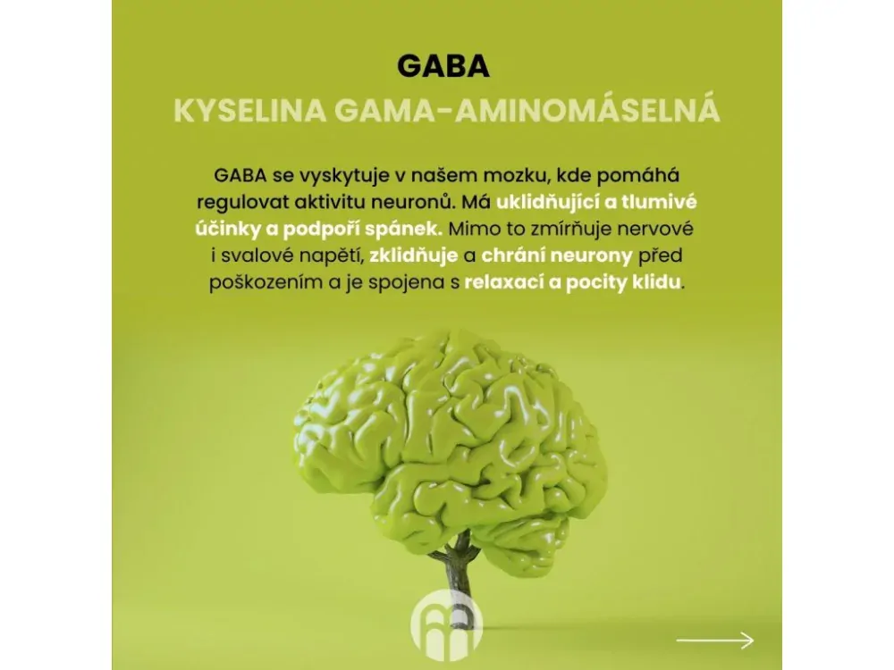BrainMax Sleep Magnesium, 320 mg, 100 kapslí (Hořčík, GABA, L-theanin, Vitamín B6, šťáva z višně)